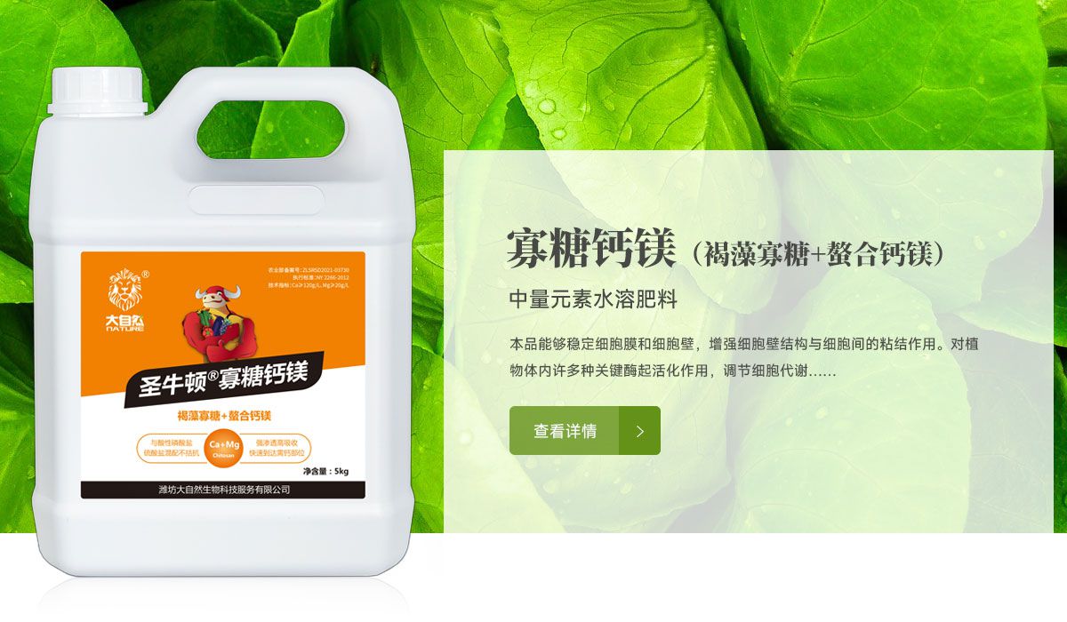 圣牛頓寡糖鈣鎂